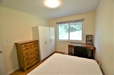 One Private Room for Male Brock U/NC Students/Young Professional Image# 3