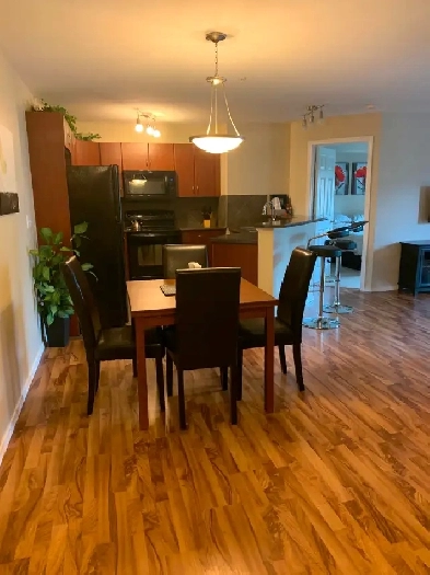 Furnished Condo in Invermere, BC Image# 12