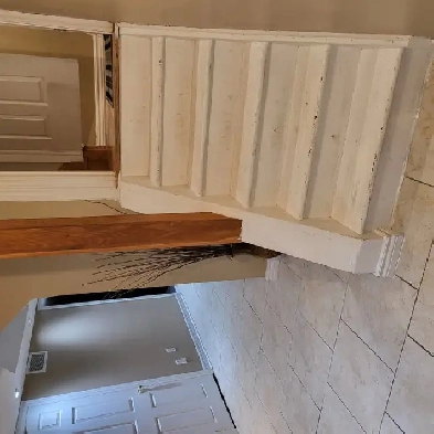 1 Bedroom Basement  Apartment Image# 1