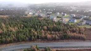 Lots 7-10 Medalsis Pond Rd, Flatrock Image# 1