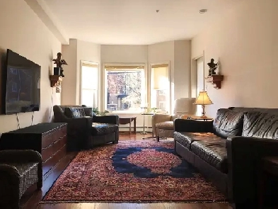 Adult building 2 bedrooms 2 bathrooms furnished sublease Image# 8