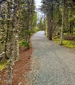 30 Cloyne Dr, Logy Bay-Middle Cove-Outer Cove, NL Image# 1