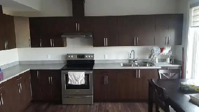 2 Bedroom Walkout Basement For Rent Image# 3
