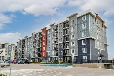 Pet-Friendly Two Bedroom Two Bath with In-suite Laundry for Rent Image# 1