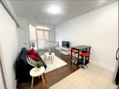 1 Bedroom Furnished Apartment Image# 10