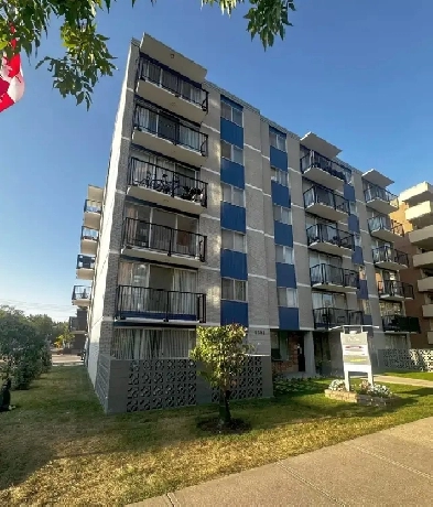 2 Bedroom Apartment for Rent - 1305 15 Ave SW Image# 6