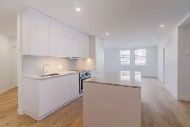 renovated 3-bedroom apartment near Villa-Maria - ID 1860 Image# 1