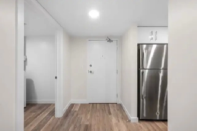 1-Bedroom Apartment Image# 11