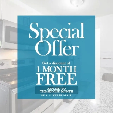 Webster Apartments - 2 Bedroom Apartment Apartment for Rent Image# 3