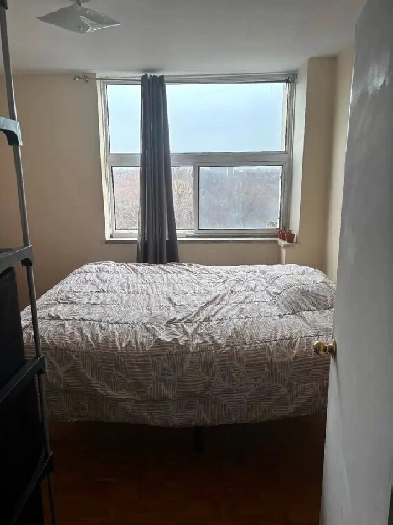 Roommate wanted in 2 bedroom downtown Image# 1