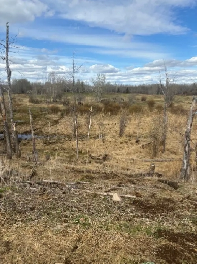 92  acres Image# 1