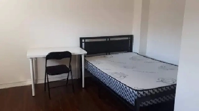 Spacious Size Bedroom in Basement Image# 1