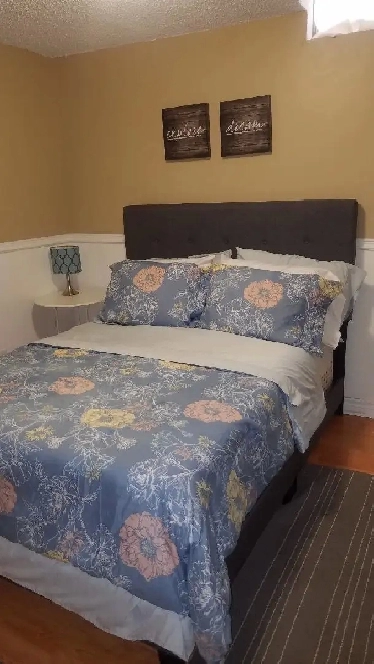 Room For Rent - Scarborough Image# 1