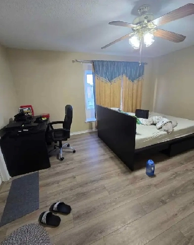 Private room with private bathroom for rent in Mississauga Image# 1