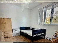 BELLE CHAMBRE A LOUER LIBRE  SECTEUR LEVIS ET ST ROMUALD Image# 7