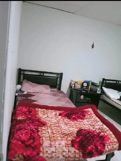 room for rent for girls Image# 1