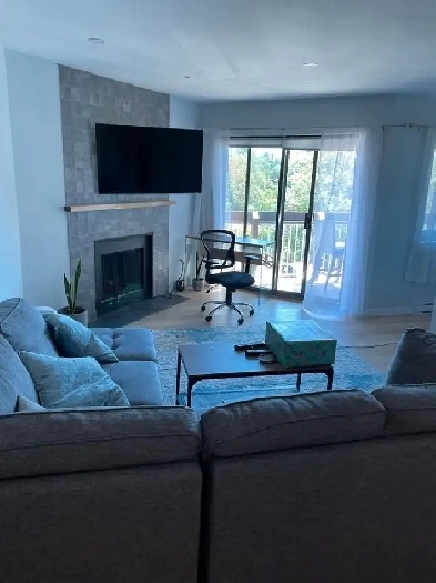 Room in renovated 3 bed 2 bath apartment Image# 7