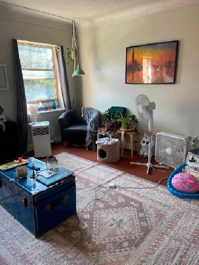 Newly renovated 2 bedroom apartment available June 1st Image# 6