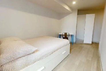 Chambre meublée à louer – Métro Papineau – Juillet à août (renou Image# 1