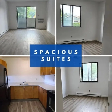 2 Bedroom Available Now! Image# 6