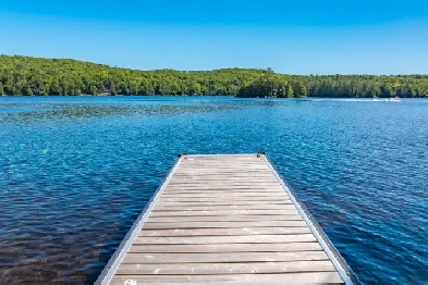 Emsdale Waterfront home for sale Image# 7