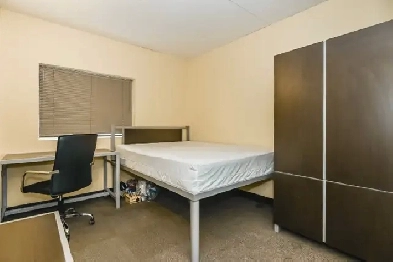 Looking for SUBLETS May-August! Image# 1