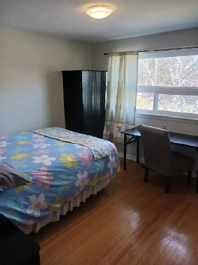 Daily private room with its own bathroom Image# 1