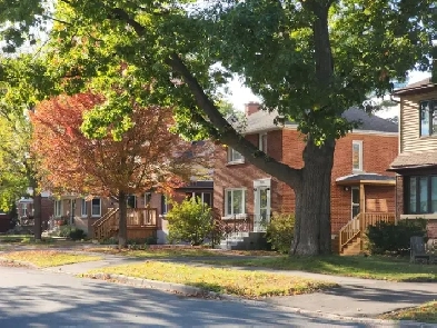 House for rent Image# 3