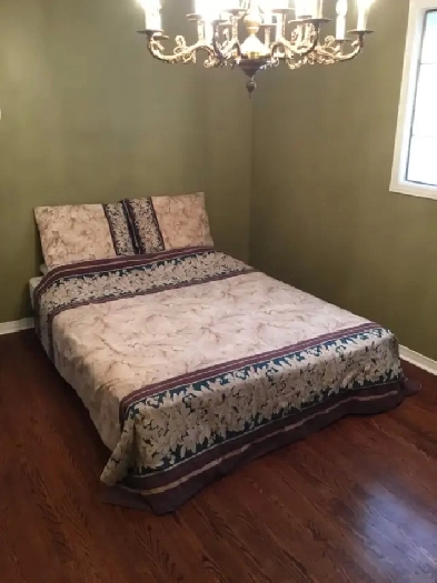 CLEAN SPACIOUS HOUSE NEAR PEARSON/BUS/SHOPPING/CAR PARKING/MAY Image# 2