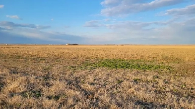 Prime Irrigated Farm Land For Sale in the EID Image# 1