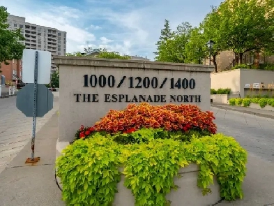 1 1 Bedroom Condo apartment central Pickering available for rent Image# 4