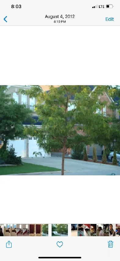 1 Left - Mississauga Private Room For Rent Single Professionals Image# 3
