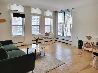 Furnished Apartment - 1 bed   1 bath   Parking DT Beltline Image# 5
