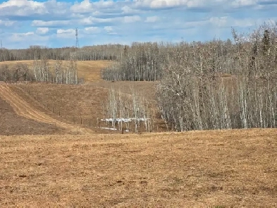 5 acers for grazin west of Stoney Plain Image# 2