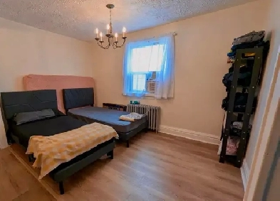 Shared Room Available Queen street West Image# 3