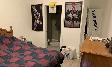 Summer Sublet 1 bedroom 1 bathroom Image# 4
