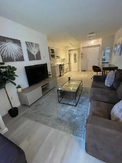 JUN 1 | FURNISHED | DOWNTOWN | WIFI & UTILITIES Image# 10