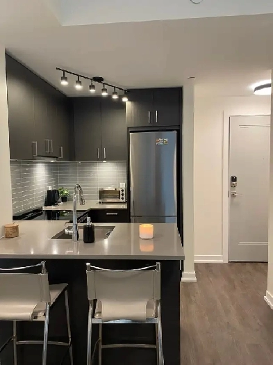 1 Bedroom   1 Bathroom Apartment Downtown Toronto (June-Aug) Image# 5