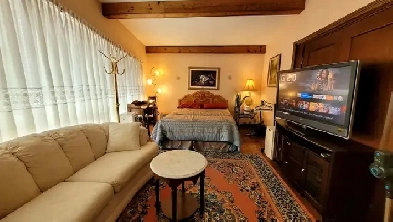 Avail Now!-Large Lotus Room Near York Univ, Humber College, YYZ Image# 9