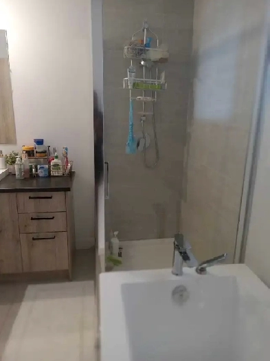 appartement à louer Image# 6
