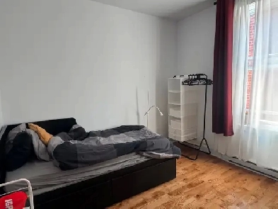 Chambre coloc filles (15’ de UdeM, Poly, HEC) Image# 8