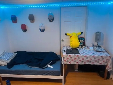 Private Room For Rent Image# 3