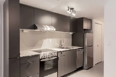 fully renovated one bedroom apartment in Plateau - ID 3778 Image# 2