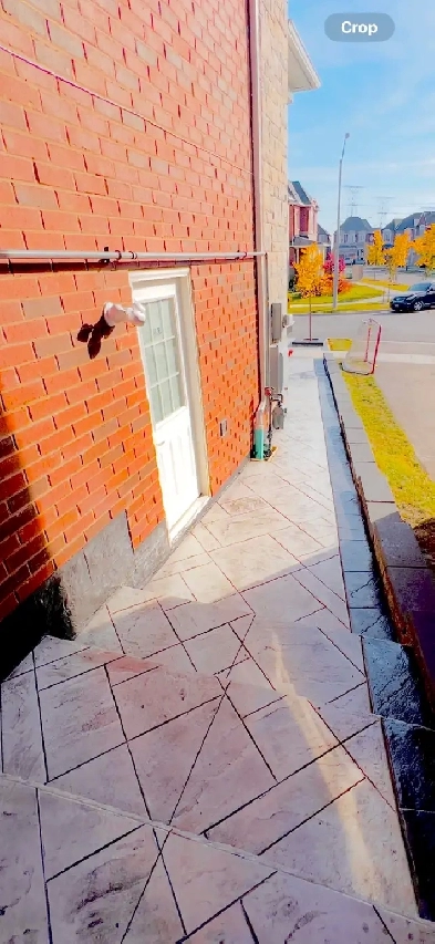 Extremely Beautiful  and Spacious Basement Apartment walk out. Image# 3