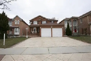Basement for Rent In Posh area of Brampton Image# 1
