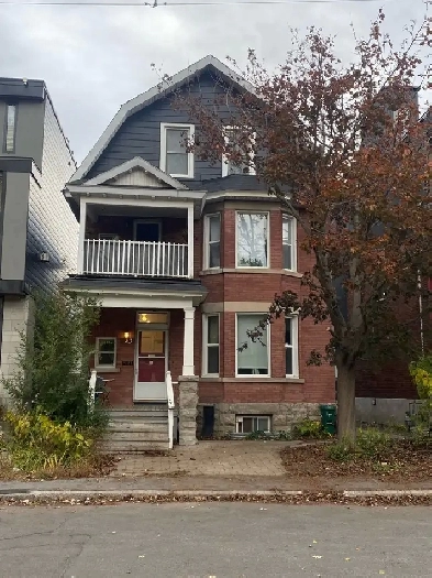 Cosy and bright apartment sublet in the Glebe for the summer ! Image# 8