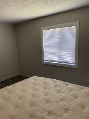 Rent room Image# 1