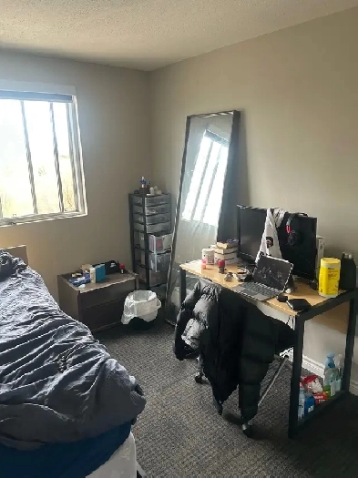 Room sublet May to August - 75 Ann St Image# 1