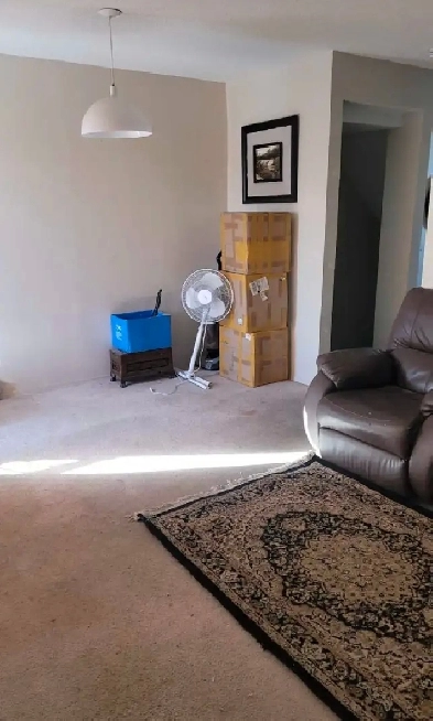 Furnished room available for Rent 1st June Image# 4