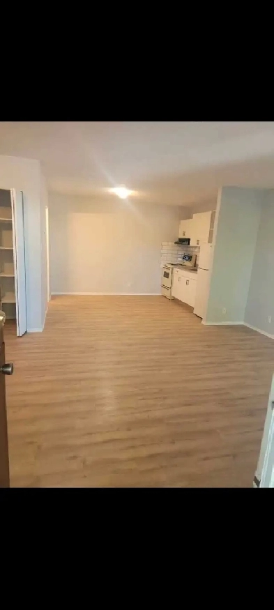 Large Bachelor Apartment for Rent Image# 7
